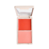 DUO PALETTE (FALL INTO ME)